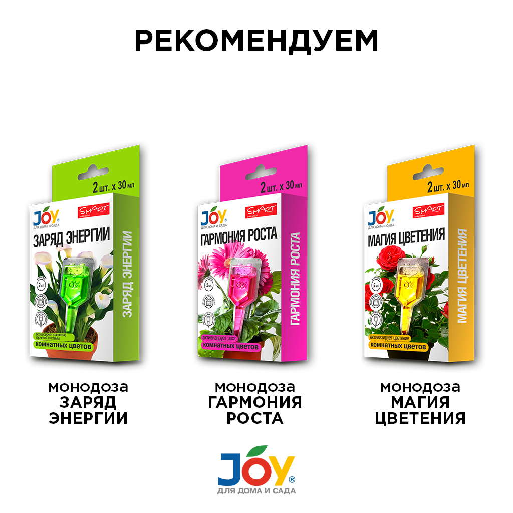 картинка JOY "Янтарная кислота" стимулятор для растений, 10 г