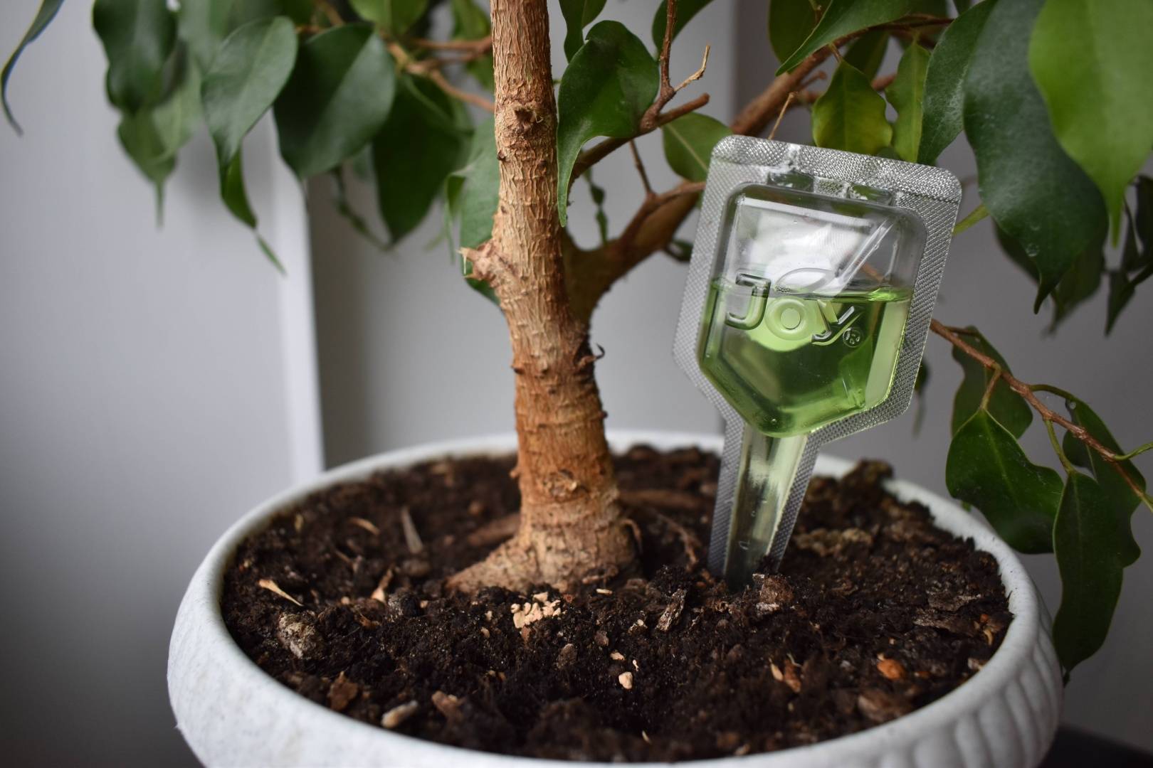 Хитозан: Что это такое и как работает? Активизация естественного иммунитета растений 