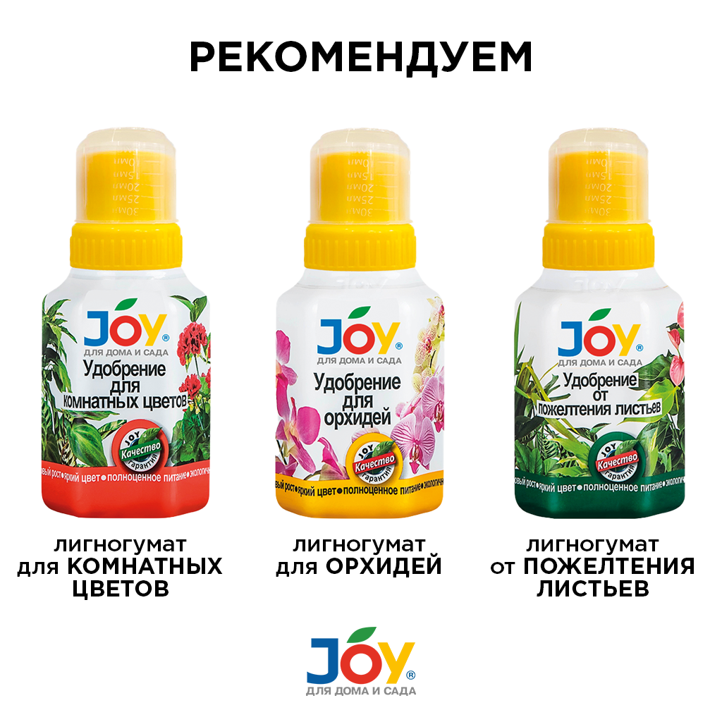 картинка Удобрение JOY "Для кактусов и суккулентов", 250 мл