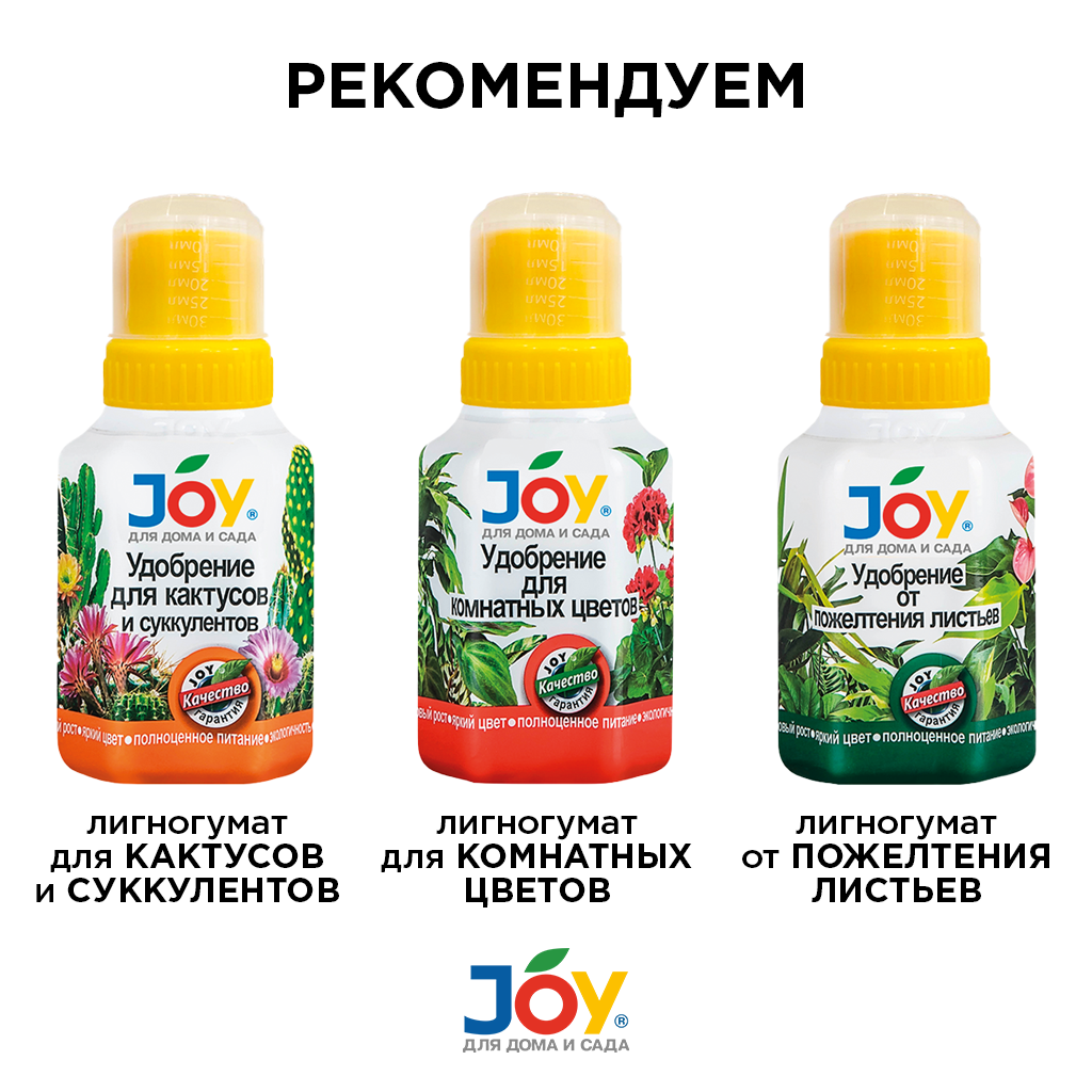 картинка Удобрение JOY "Для декоративнолистных растений", 250 мл