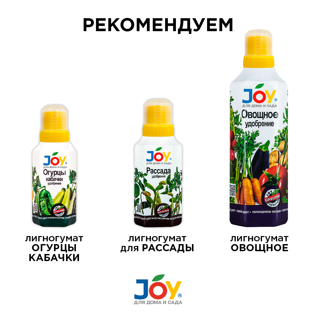 картинка Удобрение JOY "Лук, Чеснок", 500 мл