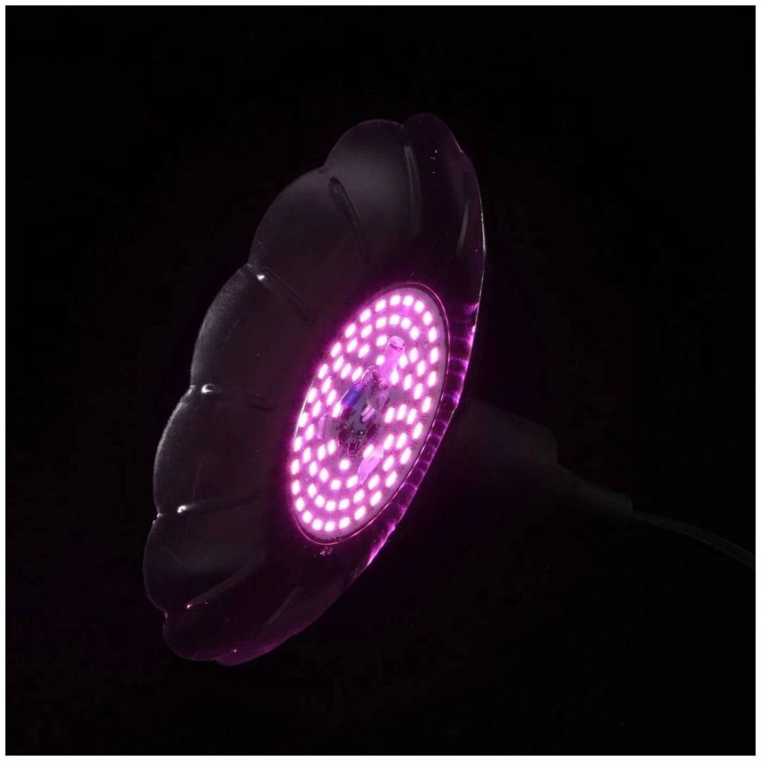 картинка Светильник для растений "Ромашка" 