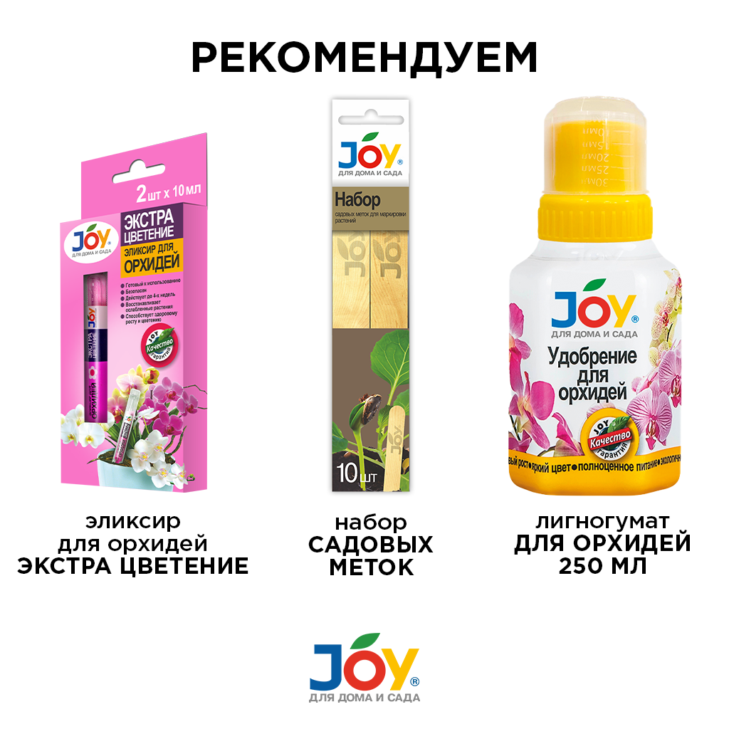 картинка Перчатки JOY, 1 пара