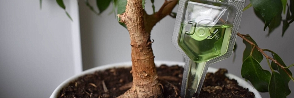 Хитозан: Что это такое и как работает? Активизация естественного иммунитета растений 